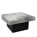Palladium Silver Coffee Table