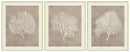 Hendridge Wall Art (Set of 3)