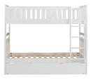 Galen Twin/Twin Bunk Bed w/ Twin Trundle in White B2053W-1*R