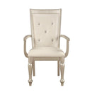 Celandine Arm Chair in Silver (Set of 2)