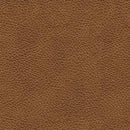 Carianna Sofa Sleeper