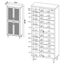 Teller Shoe Cabinet