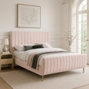 Zara Pink Velvet Queen Bed (3 Boxes)