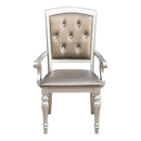Orsina Arm Chair in Silver (Set of 2)