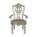 Catalonia Arm Chair in Platinum Gold (Set of 2)