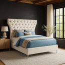 Kira Cream Velvet Queen Bed