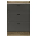 Denia Shoe Cabinet