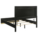 Caraway Panel Bed with LED Lighting