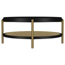 Arini Coffee Table