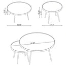 Kaelyn Nesting Coffee Table