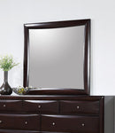 Phoenix Transitional Deep Cappuccino Mirror - Legacy Furniture - NY