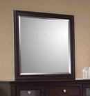 Sandy Beach Cappuccino Dresser Mirror - Legacy Furniture - NY