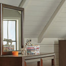 Greenough Transitional Cappuccino Mirror - Legacy Furniture - NY